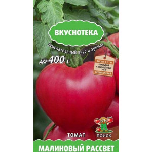Томат МАЛИНОВЫЙ РАССВЕТ Поиск