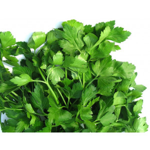 Петрушка ИТАЛИАН ДАРК ГРИН / ITALIAN DARK GREEN Global Seeds