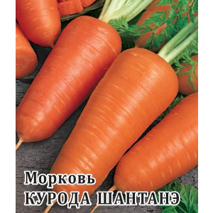 Морковь КУРОДА ШАНТАНЭ Поиск