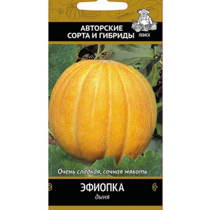Дыня ЭФИОПКА ЦВ Поиск
