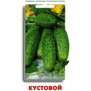Огурец КУСТОВОЙ Поиск
