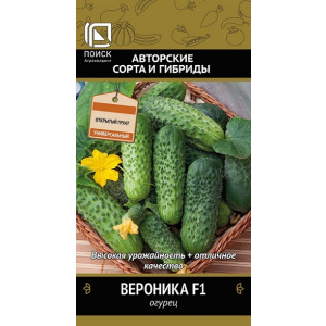 Огурец ВЕРОНИКА F1 Поиск