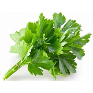 Кориандр ГРИНГО / GREENGO Greentime