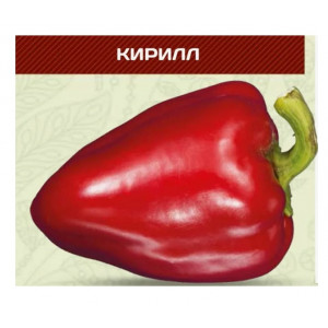 Перец сладкий КИРИЛЛ F1 / KIRILL F1 НИЦССА
