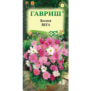 Однолетник Космея Вега, бело-розовая смесь Гавриш