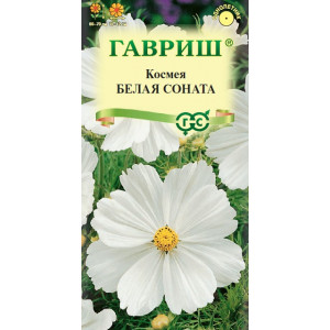 Однолетник Космея Белая соната Гавриш