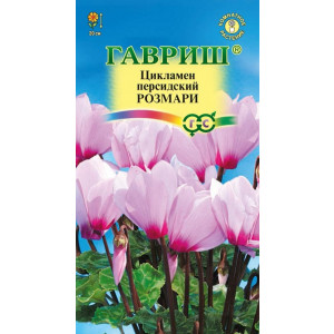 Комнатные Цикламен Розмари персидский Гавриш