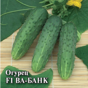 Огурец ВА-БАНК F1  Гавриш