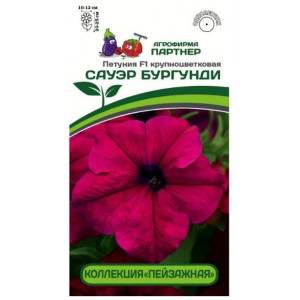 Однолетник Петуния крупноцветковая Сауэр Бургунди F1 Партнер