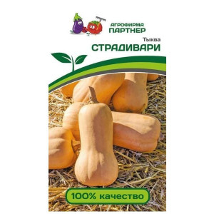 Тыква СТРАДИВАРИ Партнер