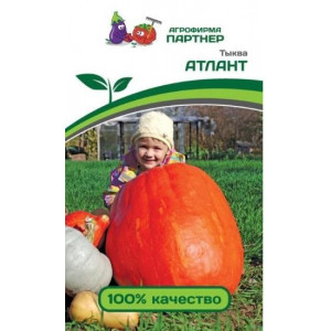 Тыква АТЛАНТ Партнер