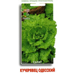 Салат листовой КУЧЕРЯВЕЦ ОДЕССКИЙ ЦВ Поиск