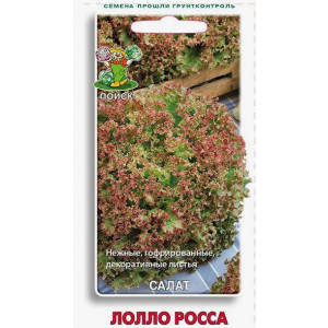 Салат листовой ЛОЛЛО РОССА ЦВ Поиск