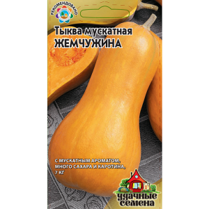 Тыква мускатная ЖЕМЧУЖИНА Традиция Гавриш