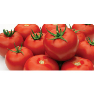 Томат ГРАВИТЕТ F1 / GRAVITET F1 Syngenta