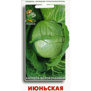 Капуста белокочанная ИЮНЬСКАЯ ЦВ Поиск