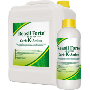 РЕАСИЛ ФОРТЕ Carb-K-Amino / Reasil Forte Carb-K-Amino Сила жизни