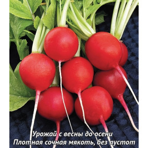 Редис МЕРКАДО Поиск
