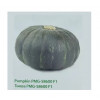 Тыква PMG 58600 F1 / PMG 58600 F1 Greentime 