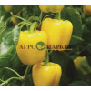 Перец сладкий ЛЮМОС F1 / LYUMOS F1 Syngenta 