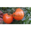 Томат КОРВИНУС F1 / KORVINUS F1 Seminis  фото 10