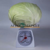 Капуста белокочанная НАОМИ F1 / NAOMI F1 Kitano Seeds  фото 2