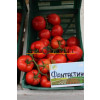 Томат ФАНТАСТИНА F1 / FANTASTINA F1 Syngenta  фото 2