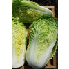 Капуста пекинская ЭМИРАЛД ОРИЕНТ F1 / EMERALD ORIENT F1 Global Seeds 