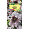 Однолетник Петуния Альба бахромч. пробирка Гавриш 