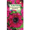 Однолетник Петуния Бордовая бахромч. Пробирка Гавриш 