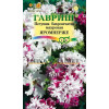 Однолетник Петуния Яромнерже (Фриллитуния ) пробирка Гавриш 