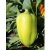 Перец сладкий АЛЬТО F1 / ALTO F1 Greentime 