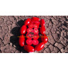 Томат ДОЧЕТ F1 / DOCHET F1 Seminis  фото 6