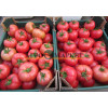 Томат ПИНК МАНИ F1 / PINK MANEY F1 Quality Seeds  фото 6