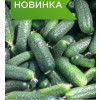 Огурец ЖОЗЕФИНО F1 / GOSEFINO F1 Seminis 