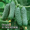 Огурец МАМЛЮК F1 Гавриш 