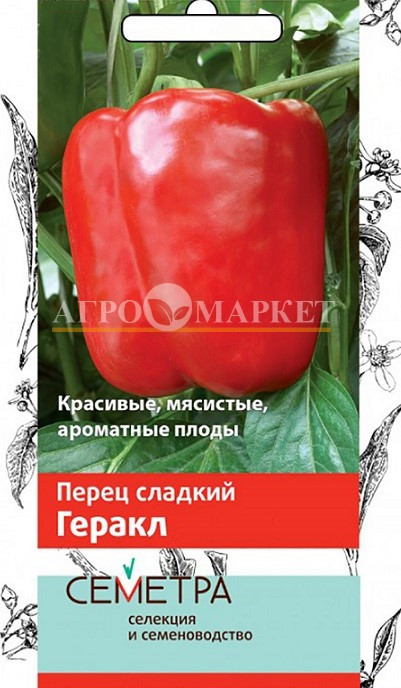 Перец сладкий ГЕРАКЛ Семетра Поиск 