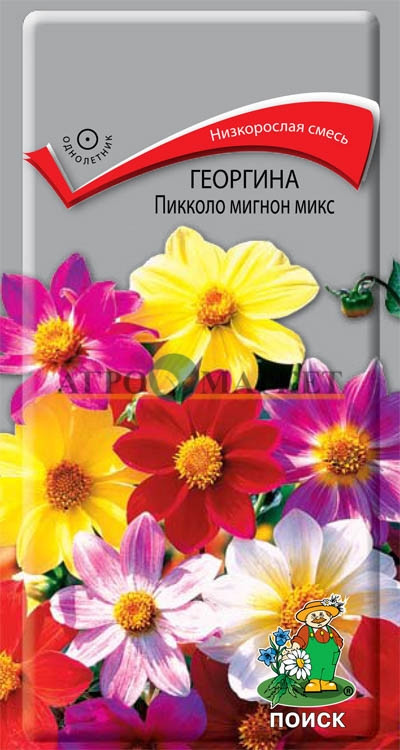 Однолетник Георгина Пикколо Мигнон Микс ЦВ Поиск 