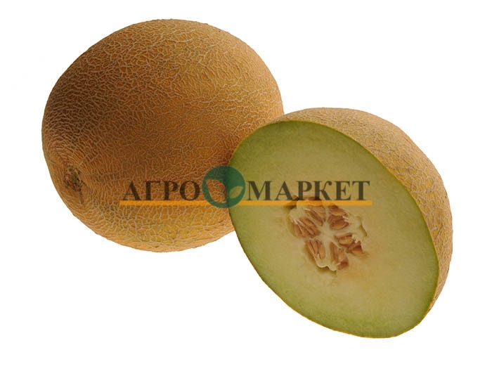 Дыня ПАСПОРТ F1 / PASPORT F1 Hollar Seeds 