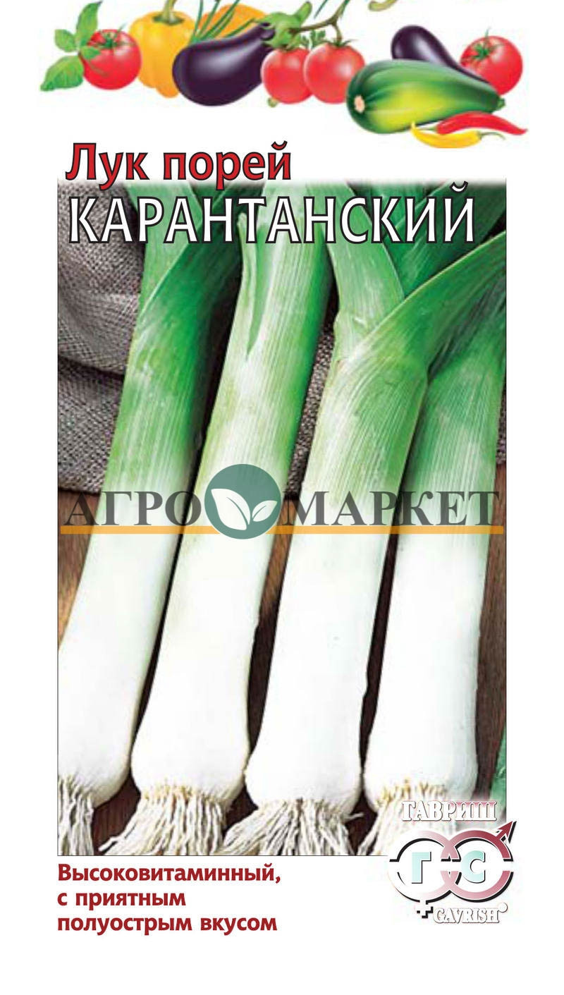 Лук Порей КАРАНТАНСКИЙ Гавриш 