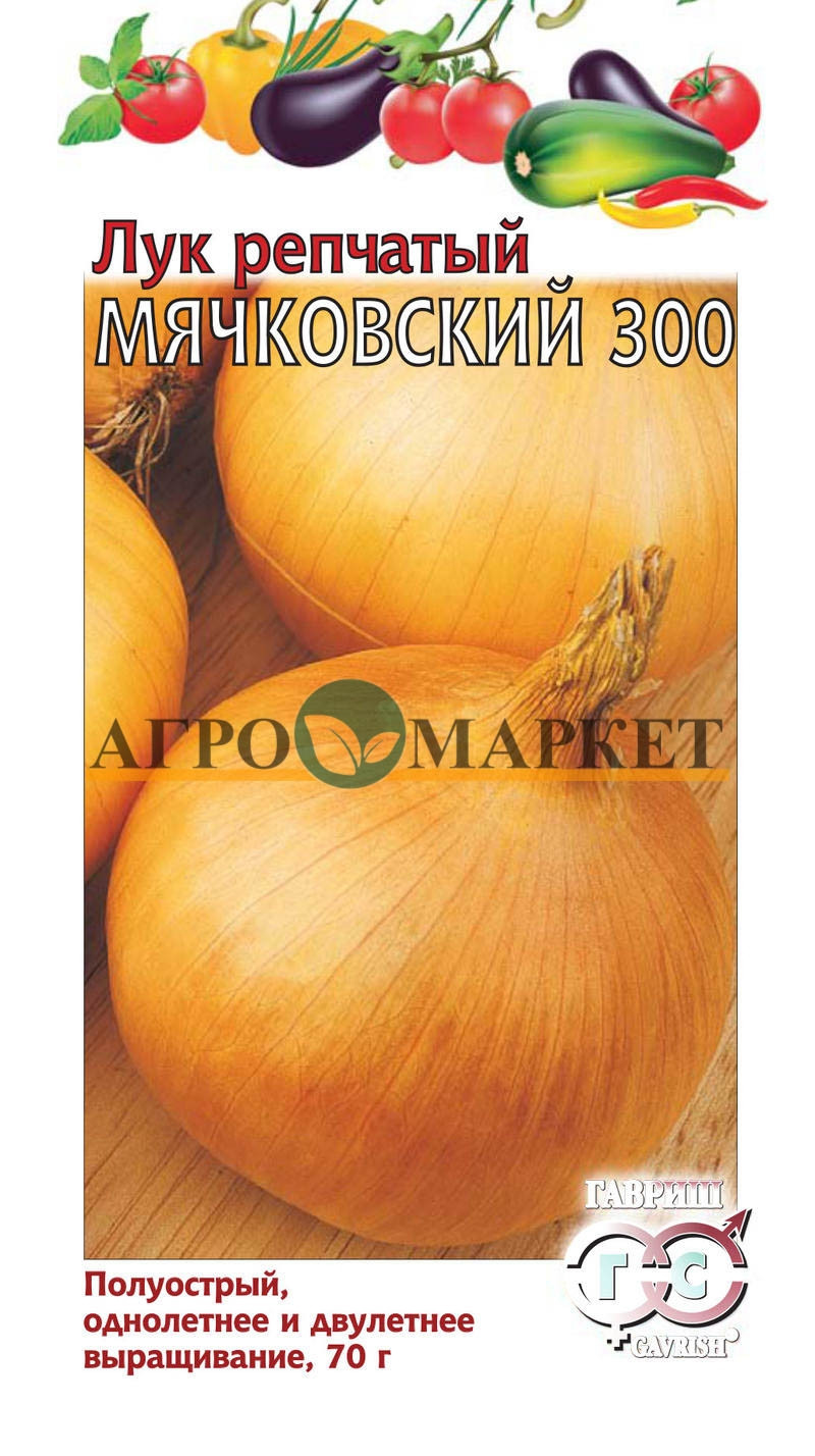 Лук Яровой МЯЧКОВСКИЙ 300 Гавриш 