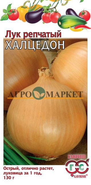 Лук Яровой ХАЛЦЕДОН Гавриш 