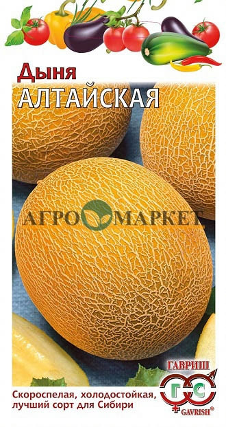 Дыня АЛТАЙСКАЯ Гавриш 
