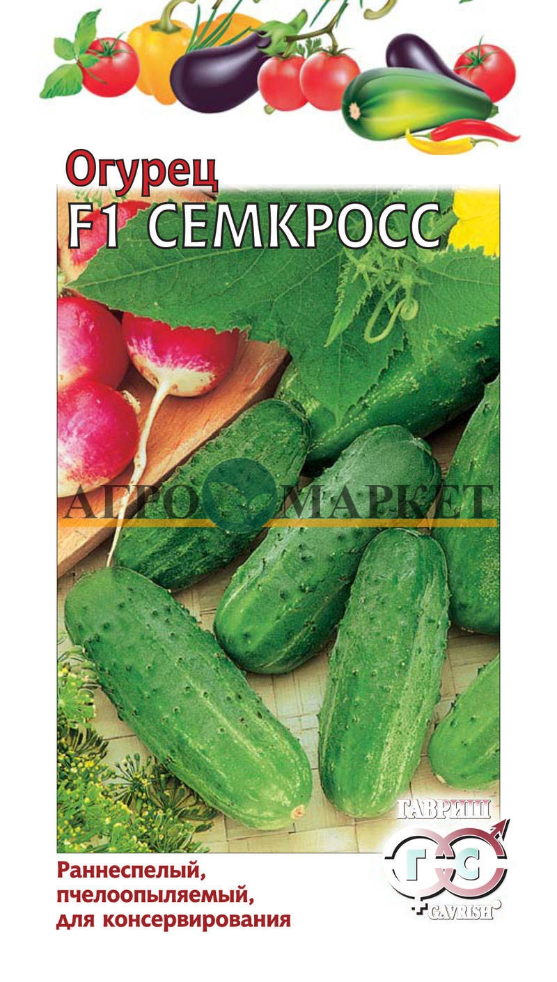Огурец СЕМКРОСС F1 Гавриш 