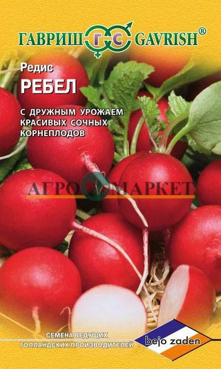 Редис РЕБЕЛ Гавриш 