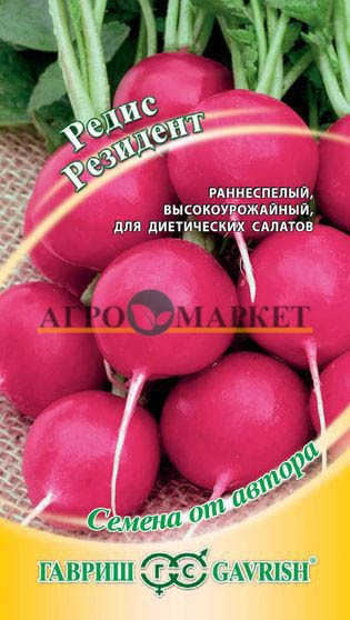Редис РЕЗИДЕНТ Гавриш 