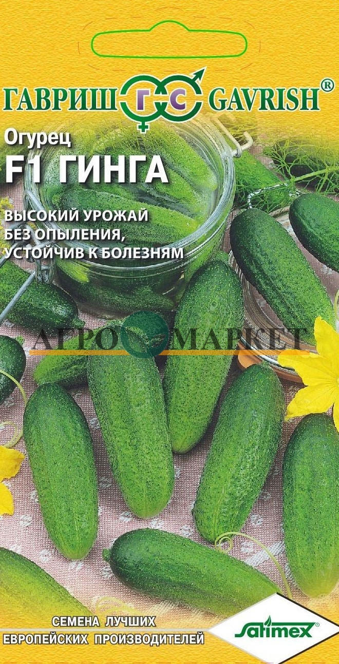 Огурец ГИНГА F1 Гавриш 