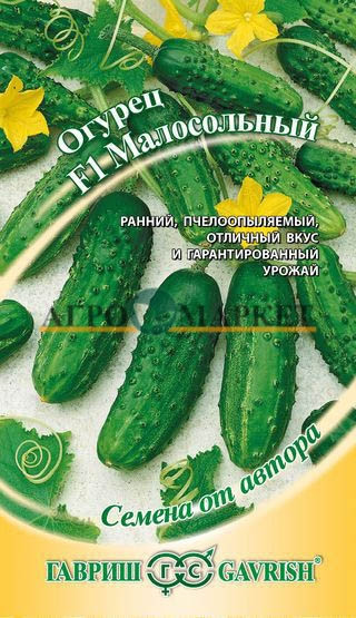 Огурец МАЛОСОЛЬНЫЙ F1 Гавриш 