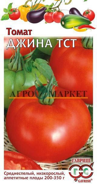 Томат ДЖИНА ТСТ Гавриш 