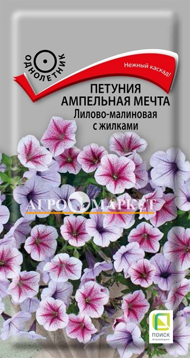 Однолетник Петуния ампельная Мечта Лилово-малиновая с жилками ЦВ Поиск 